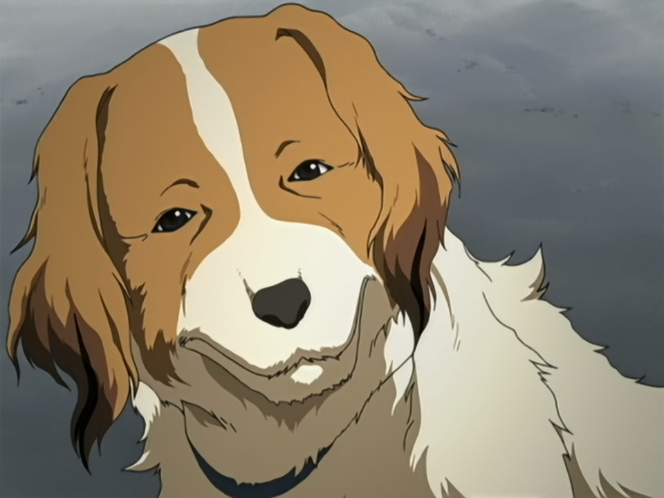 Soukyuu no Fafner: Right of Left (Fansubber)